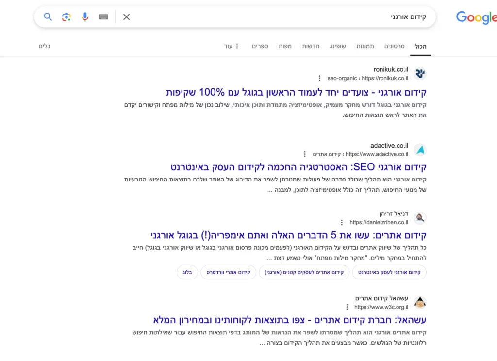 קידום אורגני בגוגל